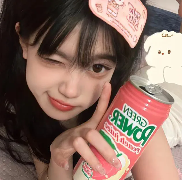 爱的着陆 第一季